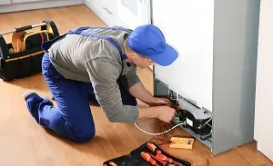 appliances xpert team repairing fridge service in greater noida
